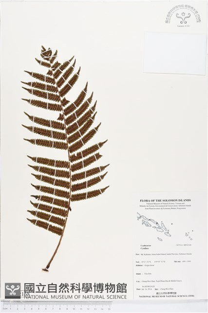 登錄號:BP02168藏品圖，第1張