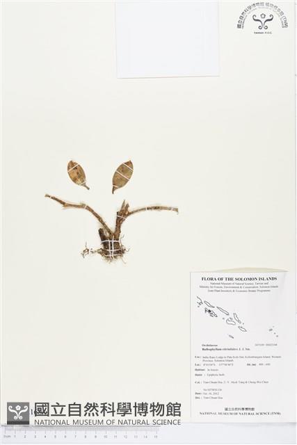 登錄號:BS02168藏品圖，第1張