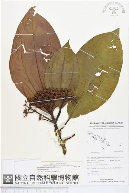 登錄號:BS03168藏品圖，第1張