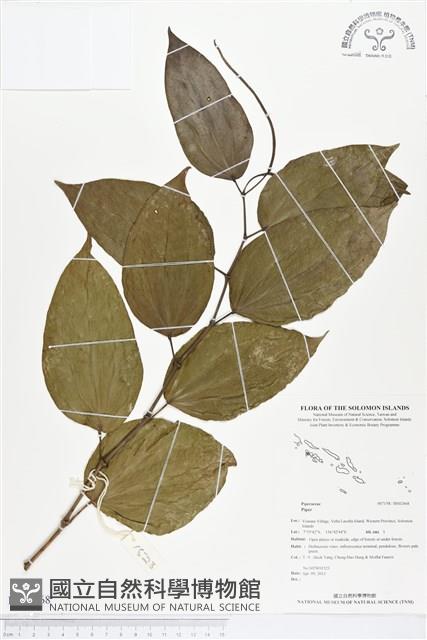 登錄號:BS02468藏品圖，第1張