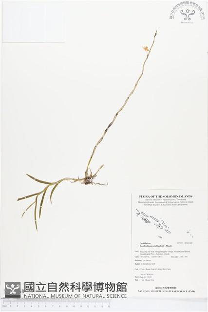 登錄號:BS01468藏品圖，第1張