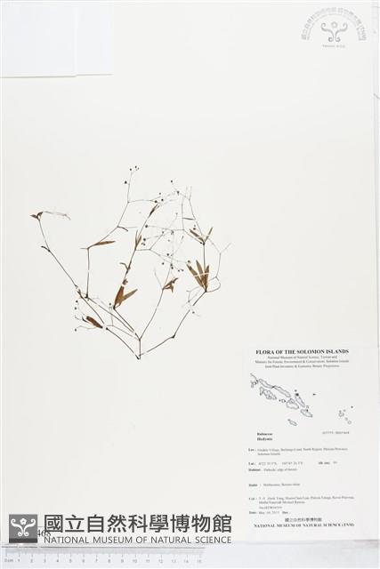 登錄號:BS05468藏品圖，第1張