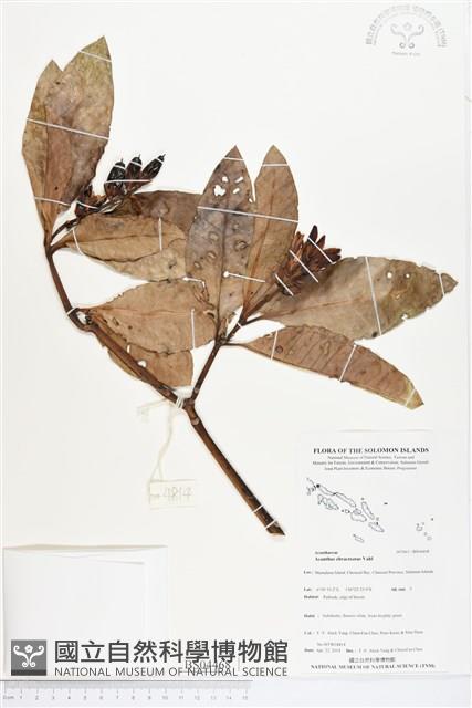 登錄號:BS04468藏品圖，第1張