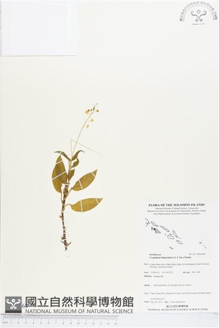 登錄號:BS03468藏品圖，第1張