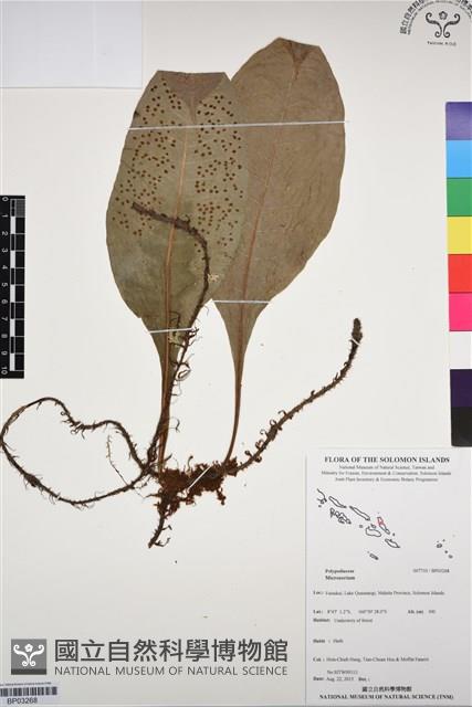 Accession Number:BP03268 Collection Image