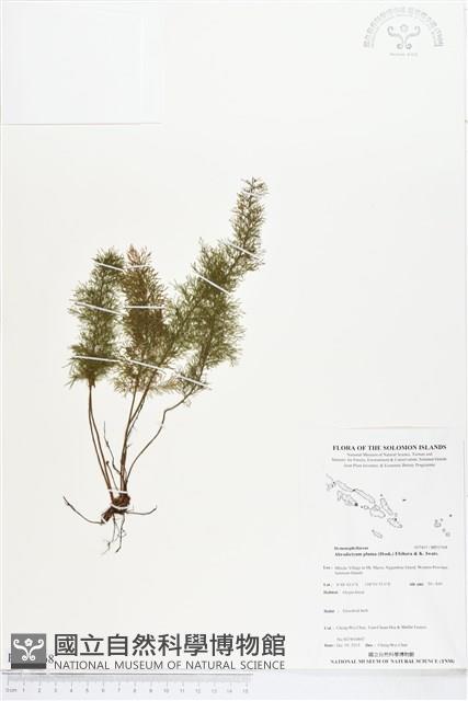 登錄號:BP01768藏品圖，第1張