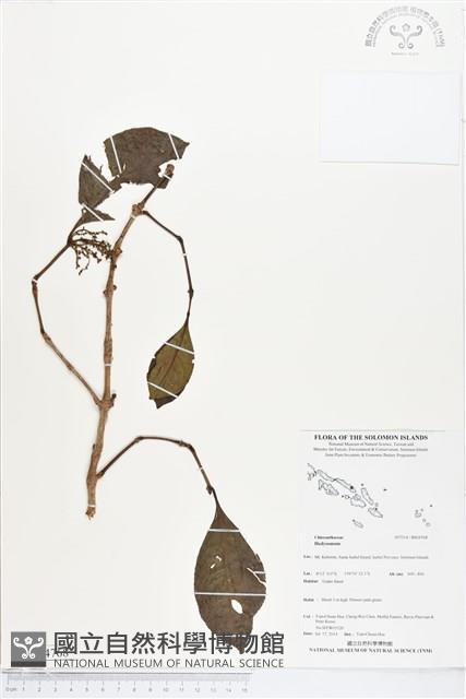 登錄號:BS04768藏品圖，第1張