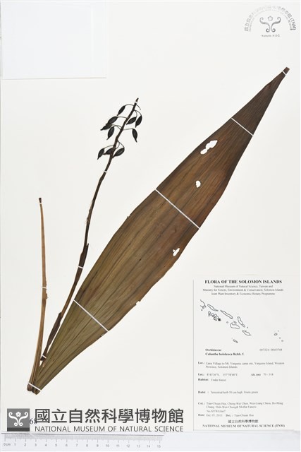 登錄號:BS03768藏品圖，第1張