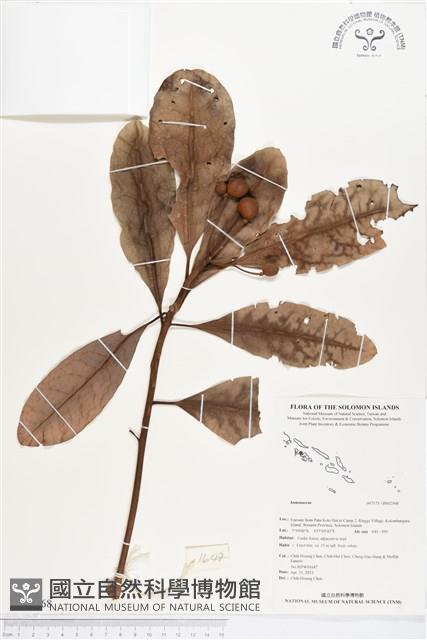 登錄號:BS02568藏品圖，第1張