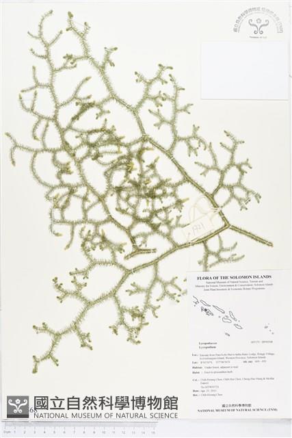 登錄號:BP00568藏品圖，第1張