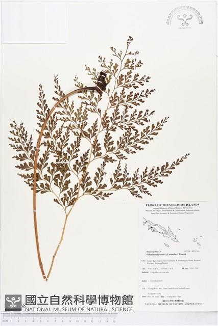 登錄號:BP01568藏品圖，第1張