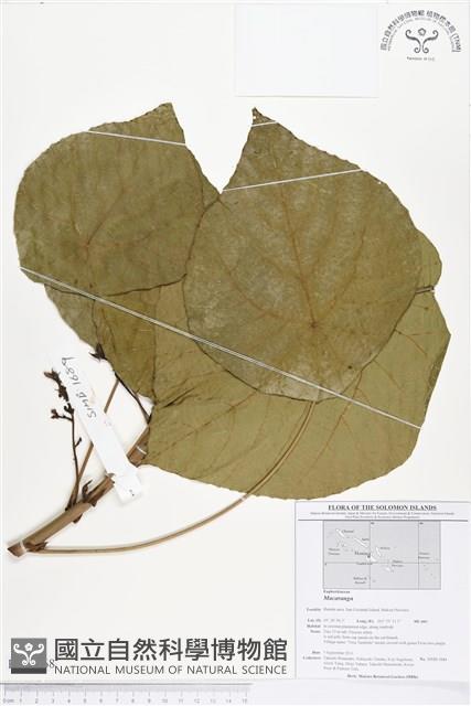 登錄號:BS01568藏品圖，第1張