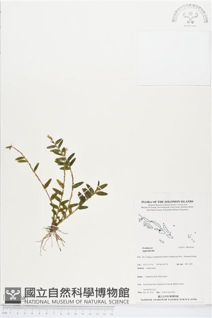 登錄號:BS04568藏品圖，第1張