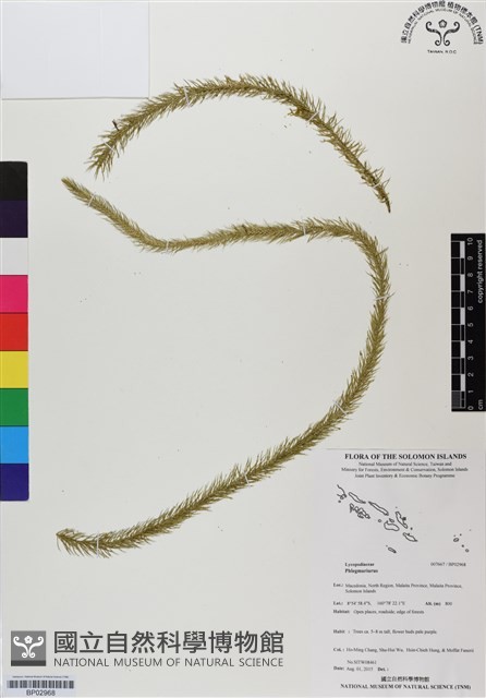 登錄號:BP02968藏品圖，第1張