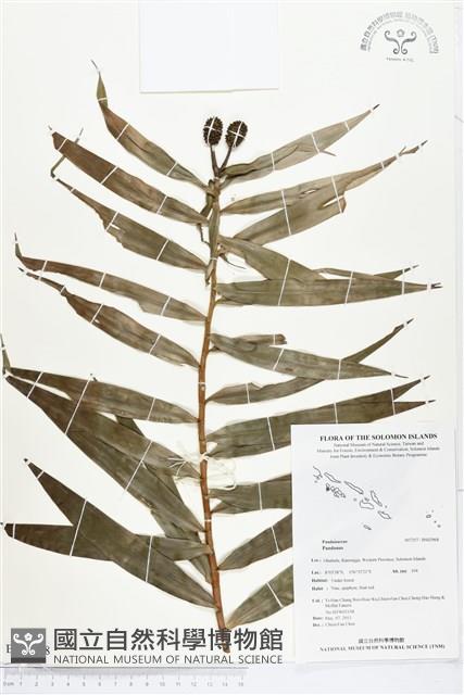 登錄號:BS02968藏品圖，第1張