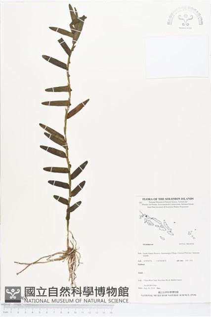 登錄號:BS04968藏品圖，第1張