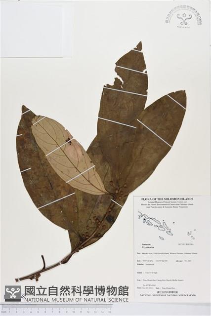 登錄號:BS03968藏品圖，第1張