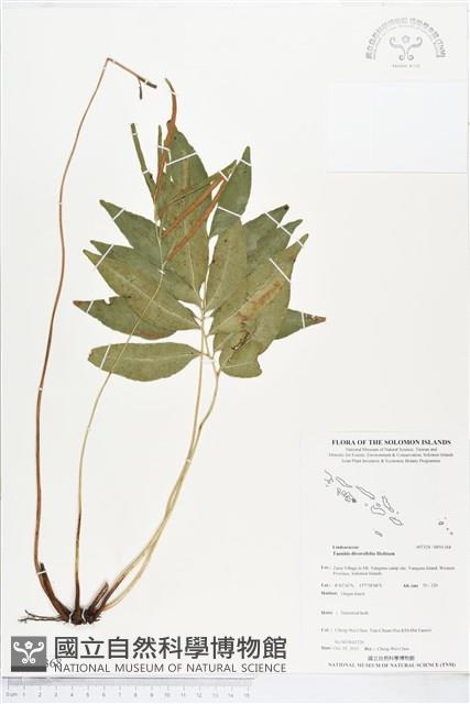 登錄號:BP01368藏品圖，第1張