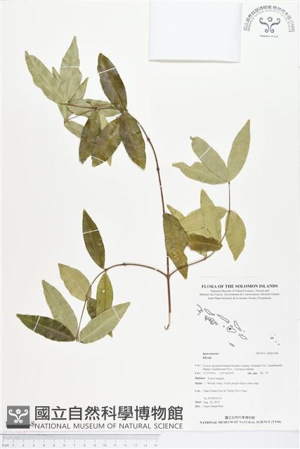 登錄號:BS01368藏品圖，第1張