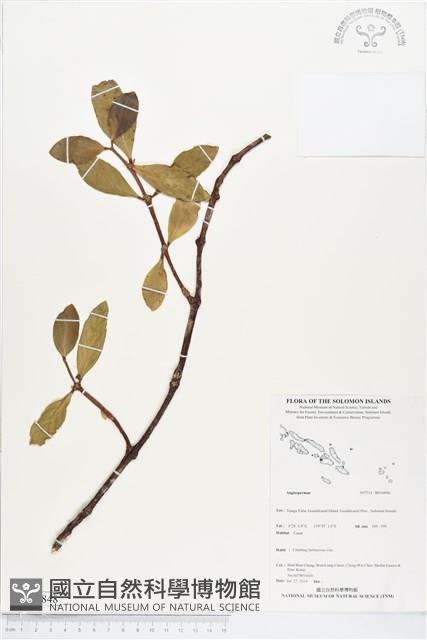 登錄號:BS04848藏品圖，第1張