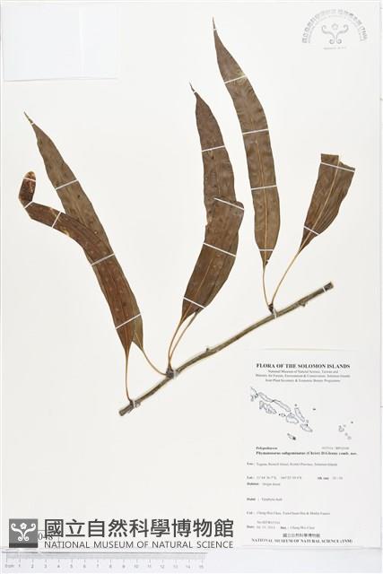 登錄號:BP02048藏品圖，第1張