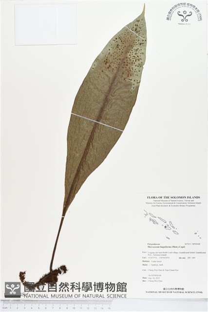 登錄號:BP00048藏品圖，第1張