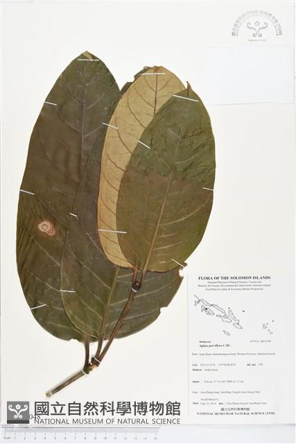 登錄號:BS05048藏品圖，第1張