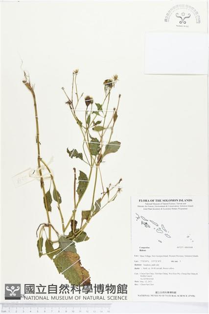 登錄號:BS03048藏品圖，第1張