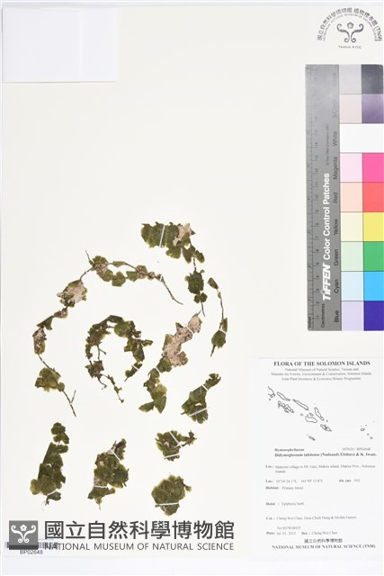 登錄號:BP02648藏品圖，第1張