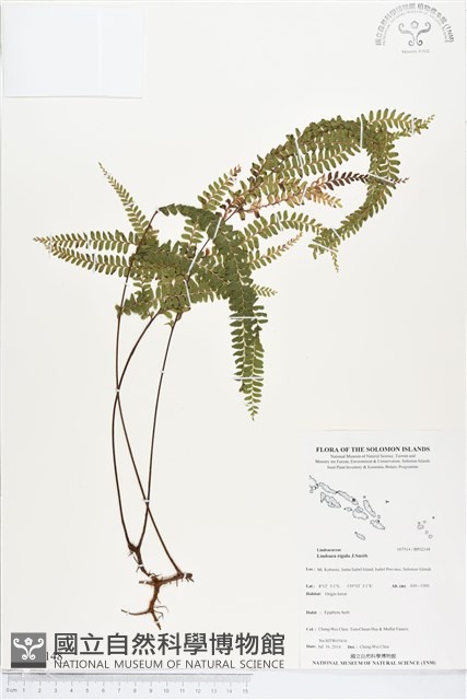 登錄號:BP02148藏品圖，第1張