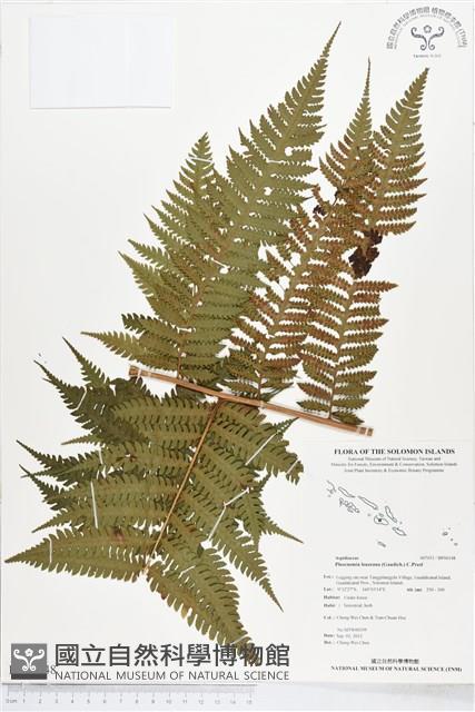 登錄號:BP00148藏品圖，第1張