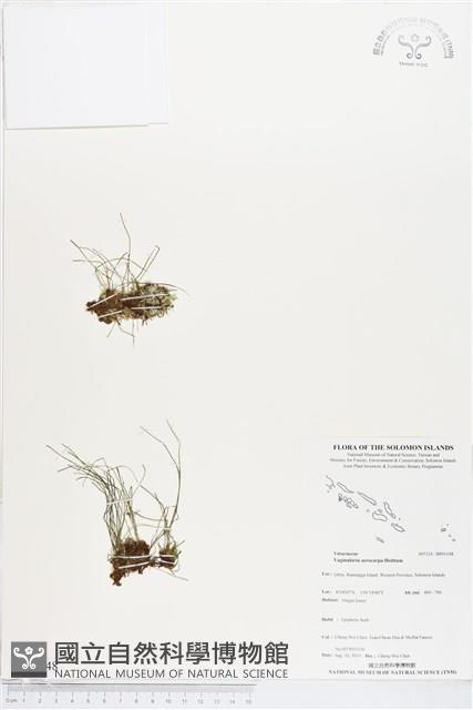 登錄號:BP01148藏品圖，第1張