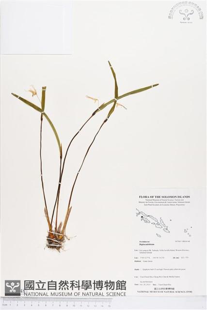 登錄號:BS04148藏品圖，第1張