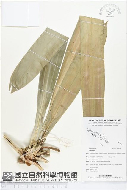 登錄號:BS03148藏品圖，第1張