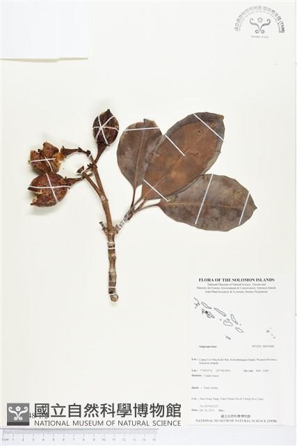 登錄號:BS03448藏品圖，第1張