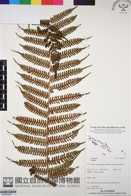 登錄號:BP03248藏品圖，第1張