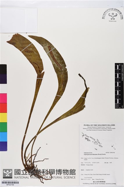 登錄號:BP02748藏品圖，第1張