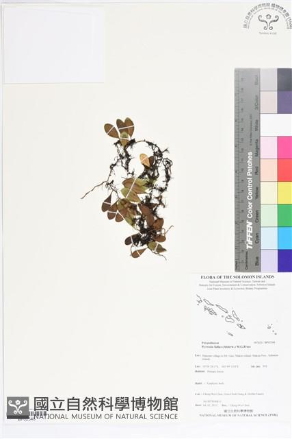 登錄號:BP02548藏品圖，第1張