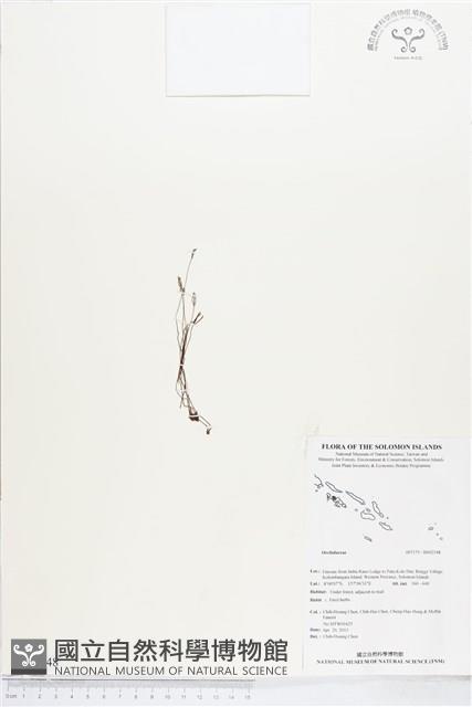 登錄號:BS02548藏品圖，第1張