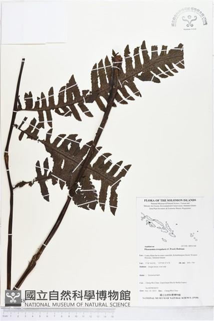 登錄號:BP01548藏品圖，第1張