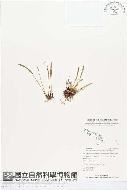 登錄號:BS01548藏品圖，第1張