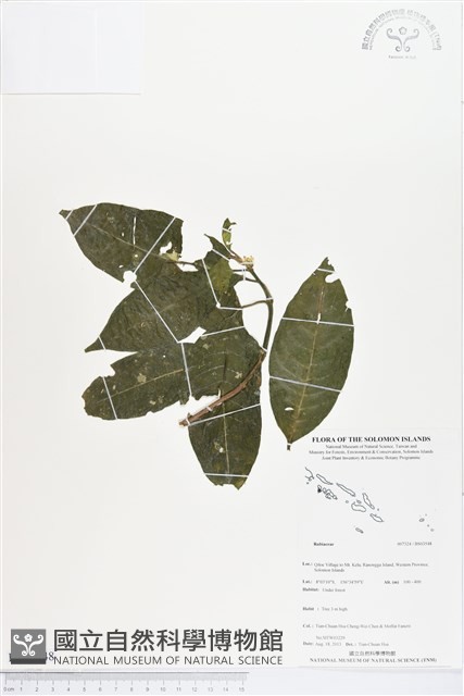 登錄號:BS03548藏品圖，第1張
