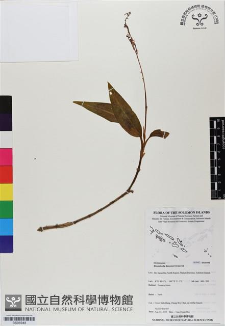 登錄號:BS06948藏品圖，第1張