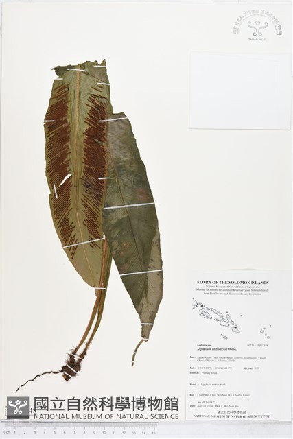 登錄號:BP02348藏品圖，第1張