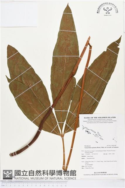 登錄號:BP00348藏品圖，第1張