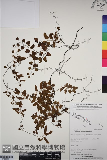 登錄號:BP03348藏品圖，第1張