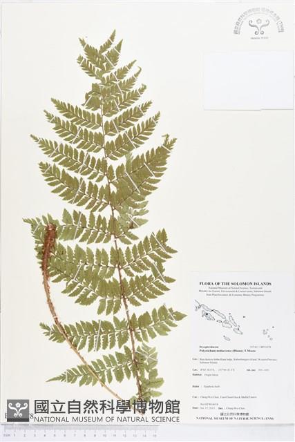 登錄號:BP01878藏品圖，第1張