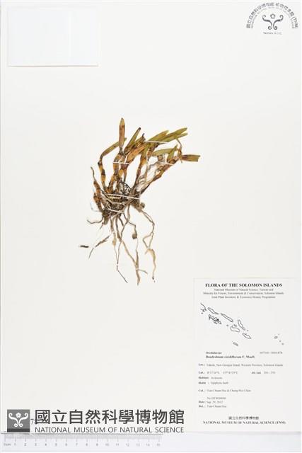 登錄號:BS01878藏品圖，第1張