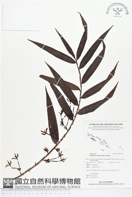 登錄號:BS02078藏品圖，第1張