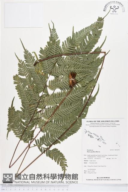 登錄號:BP00078藏品圖，第1張